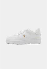 polo sneaker